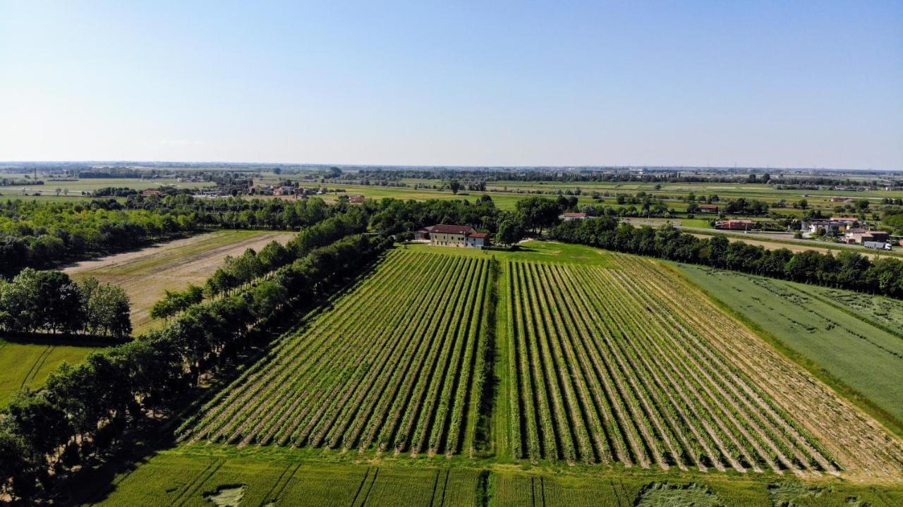 Agriturismo Ae Cavane Codevigo Ngoại thất bức ảnh