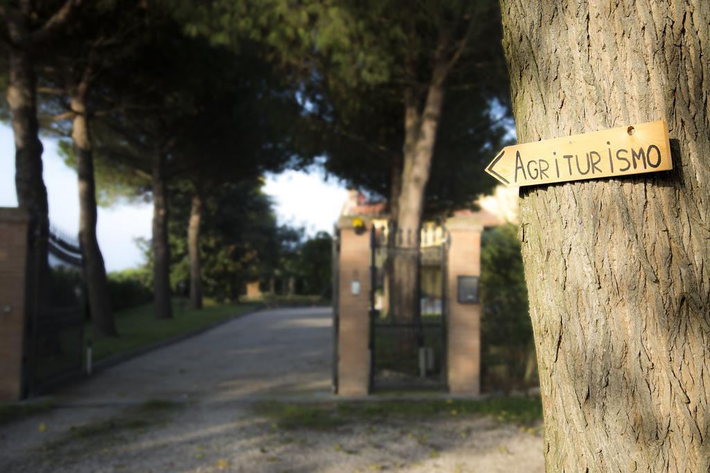 Agriturismo Ae Cavane Codevigo Ngoại thất bức ảnh